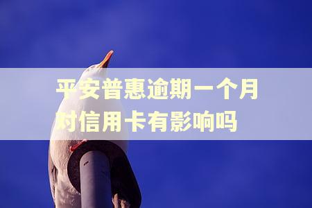 平安普惠逾期一个月对信用卡有影响吗 平安普惠逾期一个月对信用卡有影响吗
