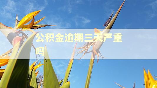 公积金逾期三天严重吗
