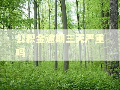 公积金逾期三天严重吗