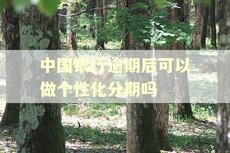 中国银行逾期后可以做个性化分期吗
