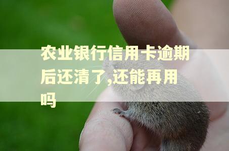农业银行信用卡逾期后还清了,还能再用吗