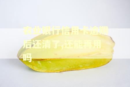 农业银行信用卡逾期后还清了,还能再用吗