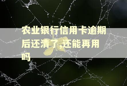 农业银行信用卡逾期后还清了,还能再用吗