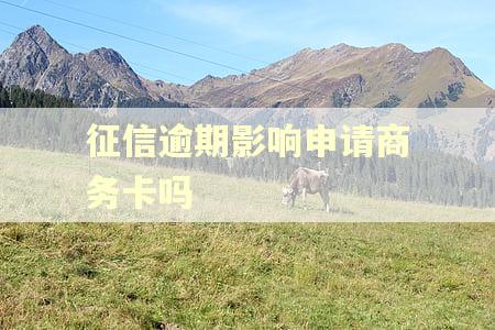 征信逾期影响申请商务卡吗 征信逾期影响申请商务卡吗