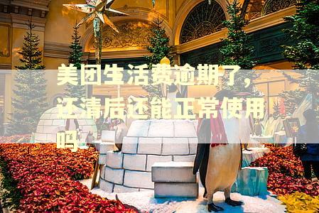美团生活费逾期了,还清后还能正常使用吗