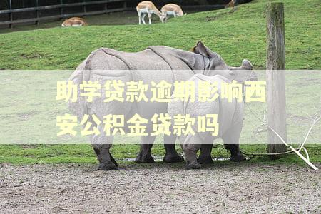 助学贷款逾期影响西安公积金贷款吗