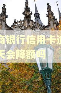 招商银行信用卡逾期几天会降额吗 招商银行信用卡逾期几天会降额吗