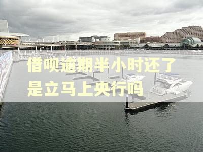 借呗逾期半小时还了是立马上央行吗