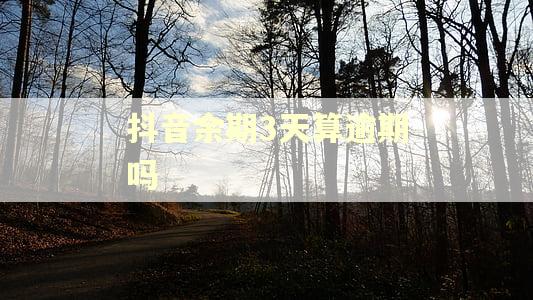 抖音余期3天算逾期吗 抖音余期3天算逾期吗