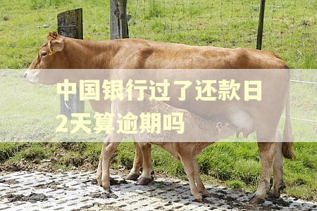 中国银行过了还款日2天算逾期吗 中国银行过了还款日2天算逾期吗