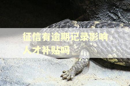 征信有逾期记录影响人才补贴吗