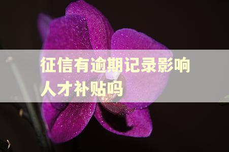 征信有逾期记录影响人才补贴吗 征信有逾期记录影响人才补贴吗