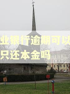 农业银行逾期可以协商只还本金吗