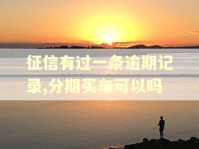 征信有过一条逾期记录,分期买车可以吗