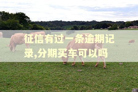 征信有过一条逾期记录,分期买车可以吗