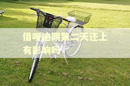 借呗逾期第二天还上有影响吗