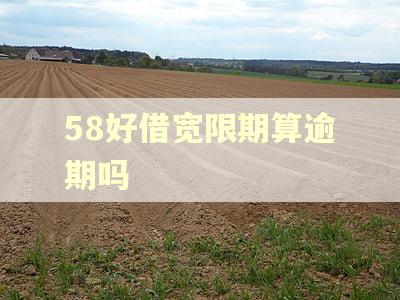 58好借宽限期算逾期吗