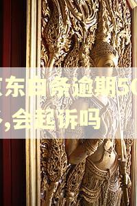 京东白条逾期500多,会起诉吗