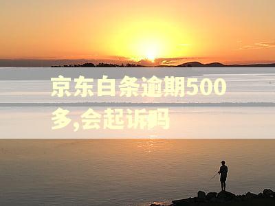 京东白条逾期500多,会起诉吗