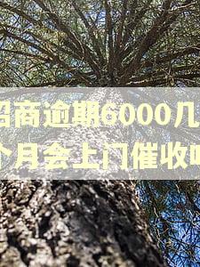 招商逾期6000几个月会上门催收吗