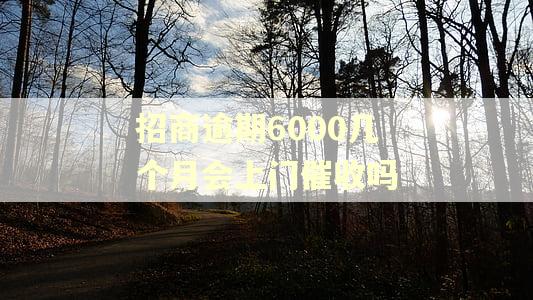 招商逾期6000几个月会上门催收吗