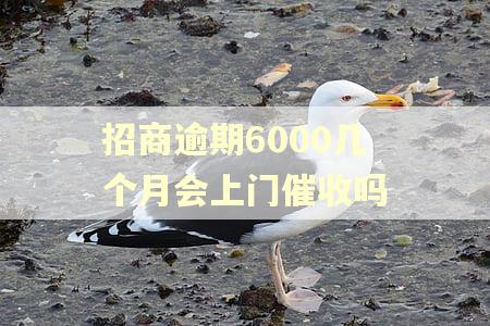 招商逾期6000几个月会上门催收吗