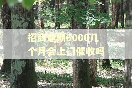 招商逾期6000几个月会上门催收吗 招商逾期6000几个月会上门催收吗