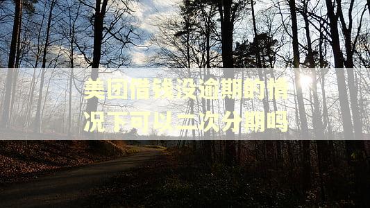 美团借钱没逾期的情况下可以二次分期吗 美团借钱没逾期的情况下可以二次分期吗
