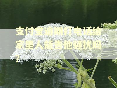 支付宝逾期打电话给家里人能告他骚扰吗？