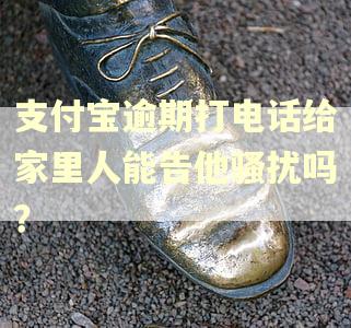 支付宝逾期打电话给家里人能告他骚扰吗？