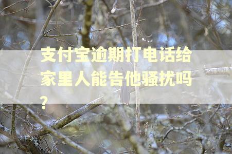 支付宝逾期打电话给家里人能告他骚扰吗？