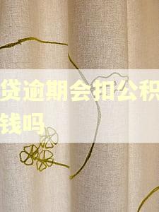 网贷逾期会扣公积金里钱吗 网贷逾期会扣公积金里钱吗