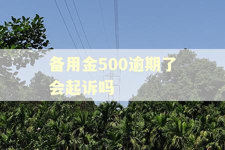 备用金500逾期了会起诉吗