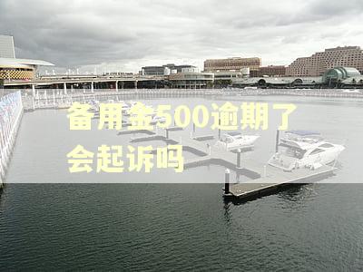 备用金500逾期了会起诉吗