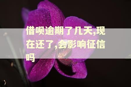 借呗逾期了几天,现在还了,会影响征信吗