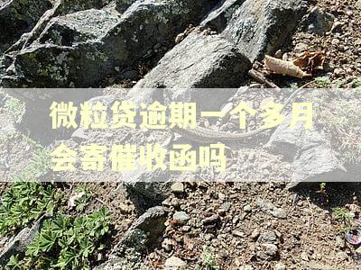 微粒贷逾期一个多月会寄催收函吗