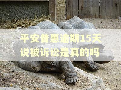 平安普惠逾期15天说被诉讼是真的吗