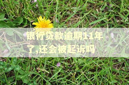 银行贷款逾期11年了,还会被起诉吗
