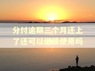 分付逾期三个月还上了还可以继续使用吗