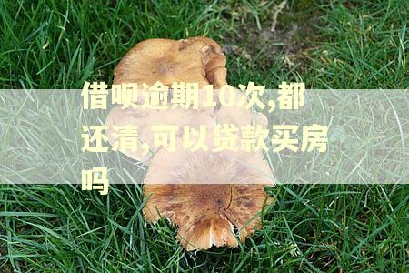 借呗逾期10次,都还清,可以贷款买房吗