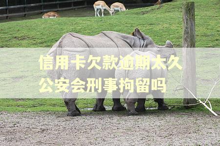 信用卡欠款逾期太久公安会刑事拘留吗