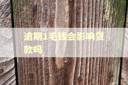 逾期1毛钱会影响贷款吗
