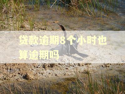 贷款逾期8个小时也算逾期吗