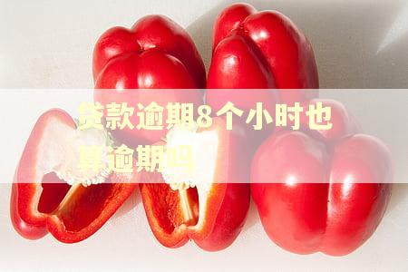 贷款逾期8个小时也算逾期吗