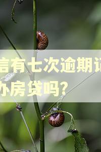 征信有七次逾期记录能办房贷吗?
