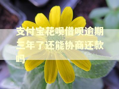 支付宝花呗借呗逾期三年了还能协商还款吗