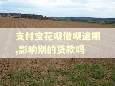 支付宝花呗借呗逾期,影响别的贷款吗