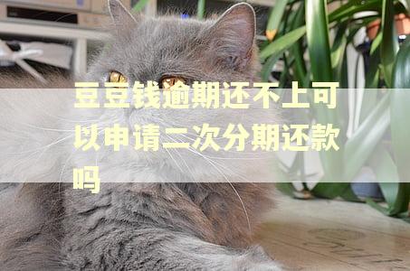 豆豆钱逾期还不上可以申请二次分期还款吗