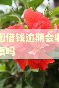 美团借钱逾期会收到传票吗