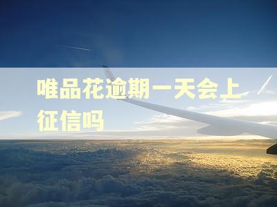 唯品花逾期一天会上征信吗